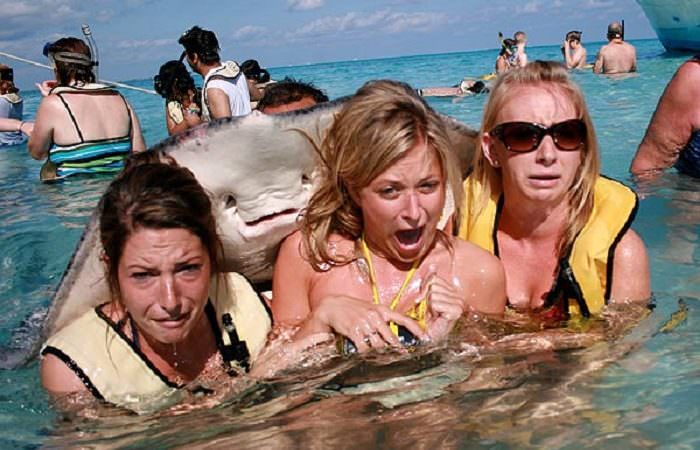 14 Worst Tourist Photos to Laugh At Being Real Photobombs