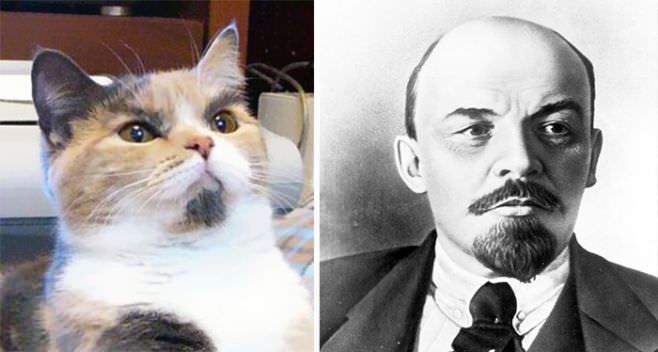 16 Lenin Cat