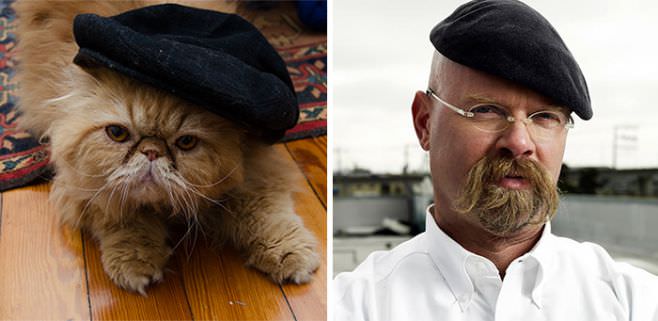 7 Cat Looks Like Jamie From Mythbusters