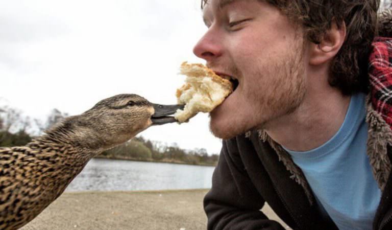 This Guy Can Teach Anyone How to Take Purrfect Selfies with Animals
