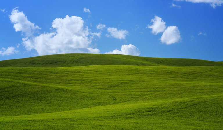 What These Photos Remind You Of?