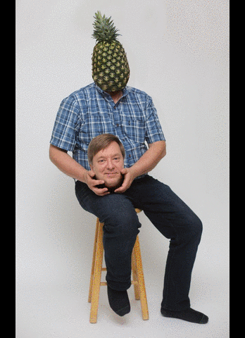dad with pineapple meme reddit 2