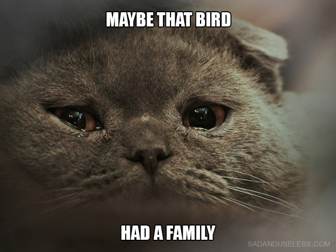 depressed bird