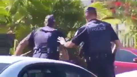 Woman Tries to Walk Her Dogs Through A Crime Scene