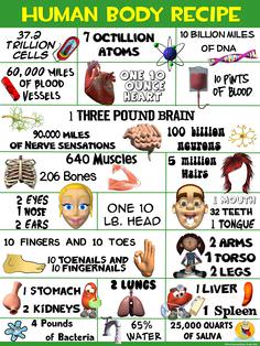 Some Fascinating Health and Body Facts That An Average Person Does Not Know