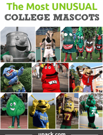Some Weirdest College Mascots That Look Quite Unusual