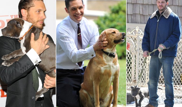 These Photos Show Tom Hardy’s Love For Dogs