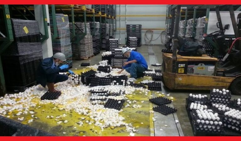After Learning Of These Worst Jobs You’ll Value Your Own