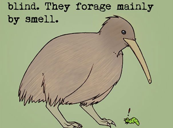 Animal Facts You Didn’t Know Before