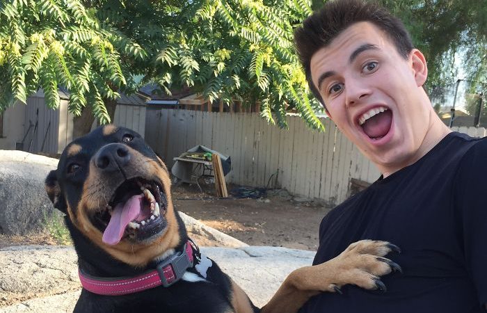 What Happened When These Owners Reunited With Their Pets After A Long Time