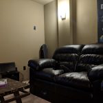 back cat matching sofa
